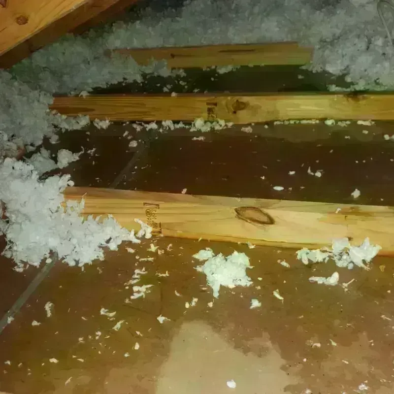 Attic Water Damage in Eastmont, WA