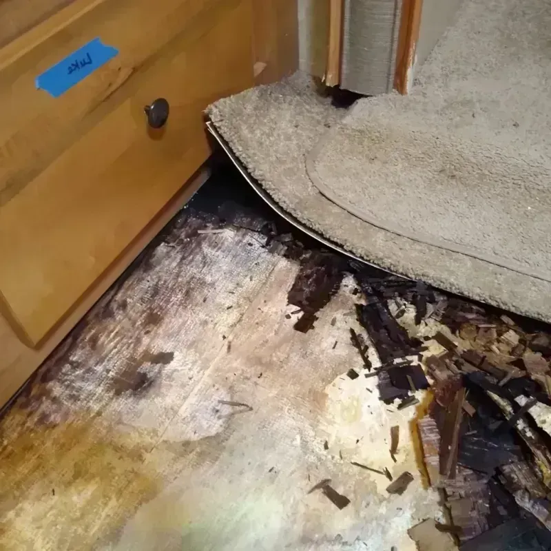 Wood Floor Water Damage in Eastmont, WA